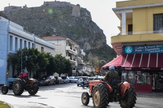 agrotes